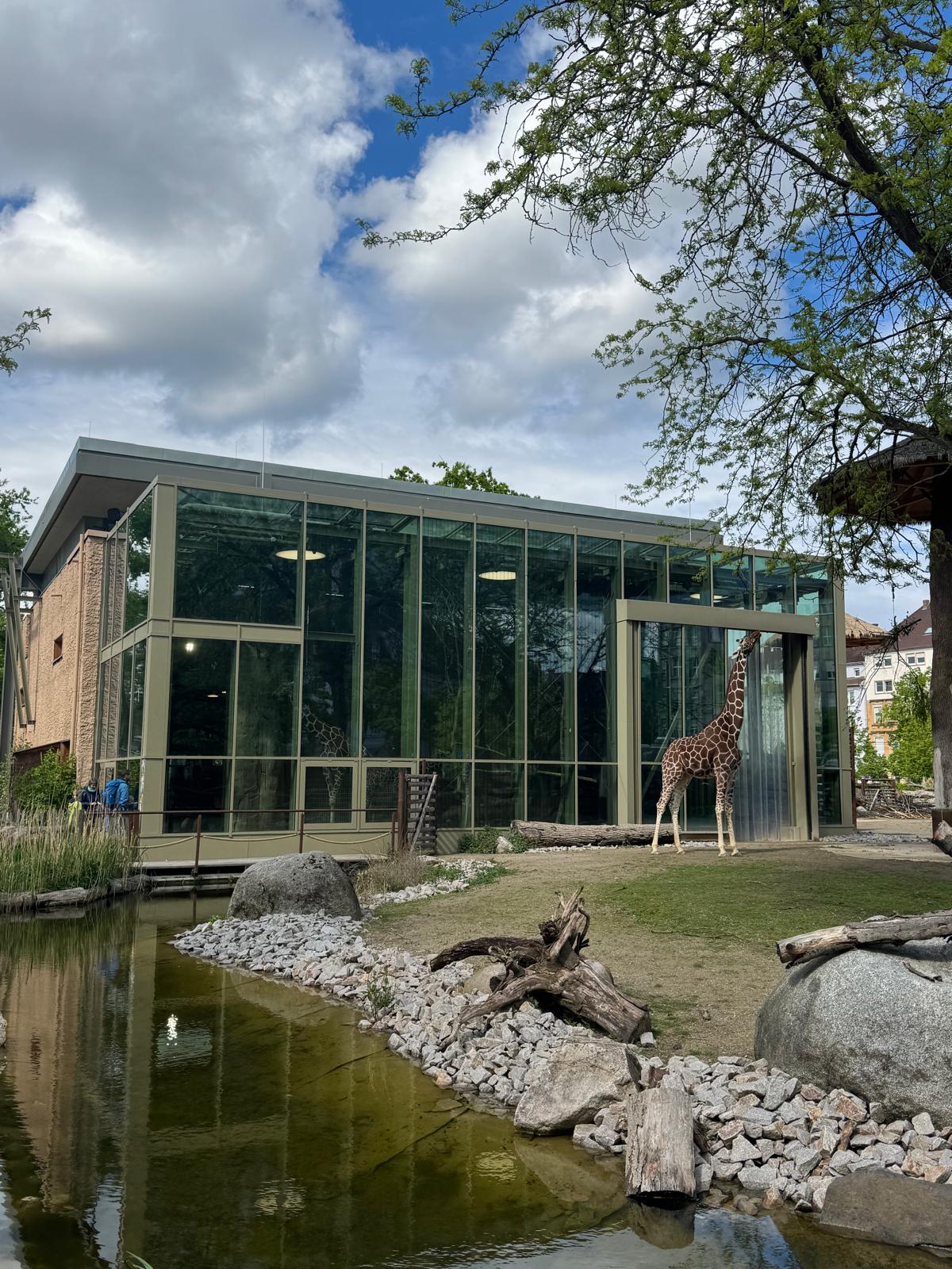 Giraffenhaus - Karlsruhe